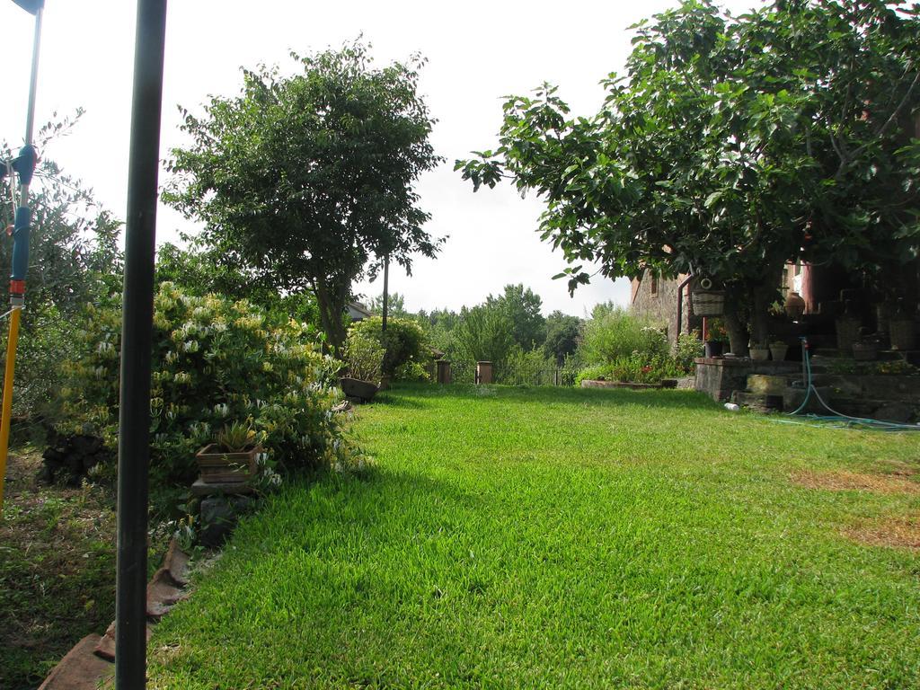 Villa Domus Vini San Giovanni La Punta Zimmer foto